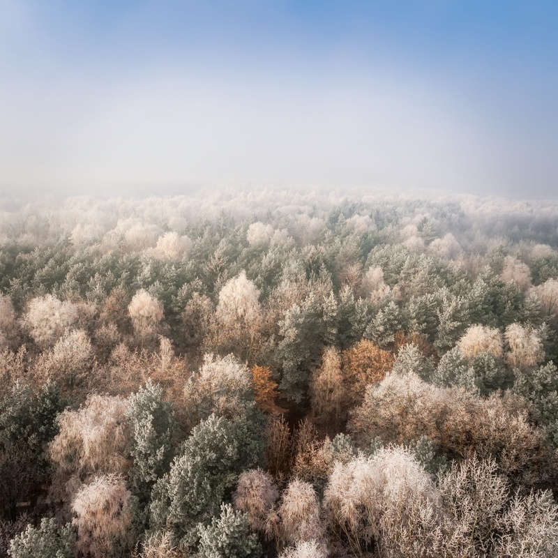 countryside, 1080P, tranquil scene, high angle view, day, non-urban scene, nature, growth, forest, copy space, outdoors, remote, dense, country, wilderness