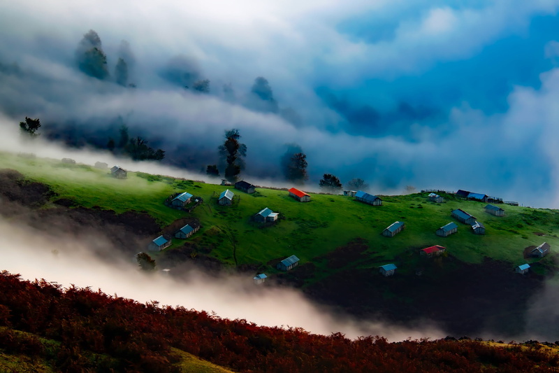 forest, nature, land, dawn, green, mountain, beauty in nature, silhouettes, scenics, plant, mountains, fog, rural, thick, mist, tranquil scene, environment