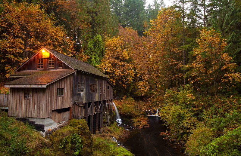 autumn collection, trees, plant, nature, wooden, architecture, no people, growth, brown, land, house, creeks, water, fall, orange color, 5K, tree, building exterior