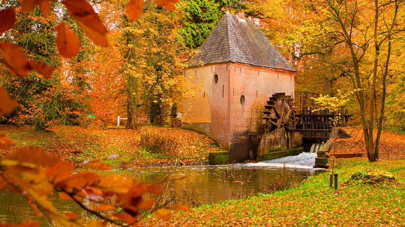 leaves, water, watermill, forest, 3d and abstract, autumn, color, 1080P