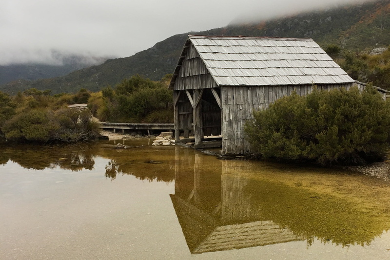 tree, scene, scenic, cradle mountain, scenery, shed, mountain, watermill, no people, lake, dove lake, architecture, wooden, boat shed, scenics - nature