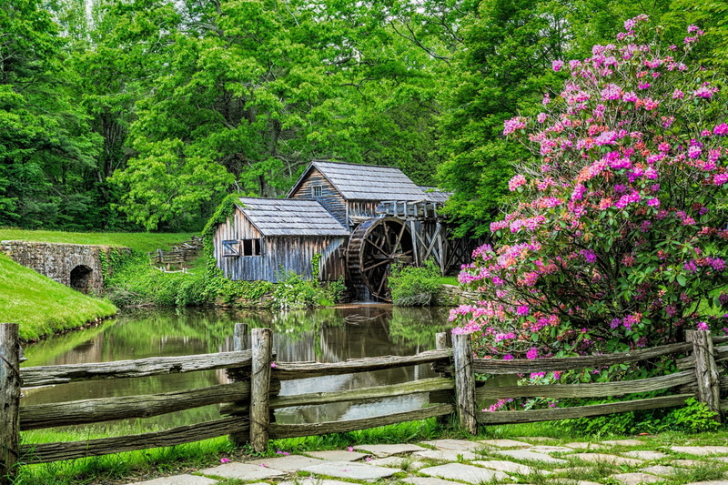 Mill, Fence, land, 1080P, Pink Flower, outdoors, flower, water, beauty in nature, Blossom, landscape, wood - material, Spring, plant, green color, Watermill