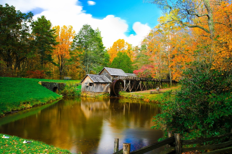 Fall, Pond, Mabry Mill, 1080P, Tree, Man Made, Watermill, Foliage, Fence, Washington