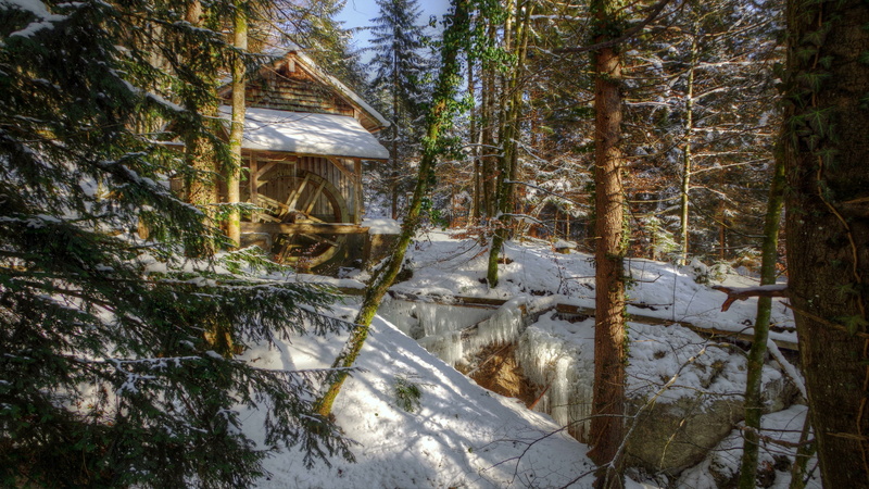 winter, frost, spruce fir forest, tree, river, mill, ice, watermill, cold, forest, woodland, 4K, wilderness, cottage, snow, icicle