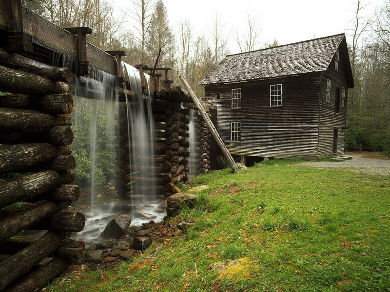 brown, building, autumn, barn, outdoors, scenics, grass, wood - Material, non-Urban Scene, nature, old, log, farm, woodland, logs, architecture, lodge