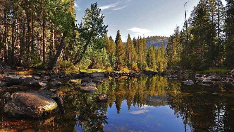 plant, woodland, download nature background images 1920x1080, rock - object, day, growth, lake, sky, rock, change, scenics - nature, reflection, non-urban scene