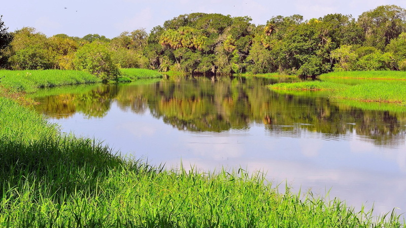 growth, lake, reflection, green color, beauty in nature, nature, non-urban scene, water, download nature background images 1920x1080, 1080P, no people
