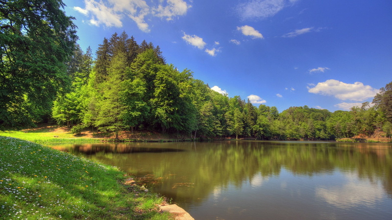 water, cloud - sky, download nature background images 1920x1080, non-urban scene, sky, scenics - nature, idyllic, tree, growth, tranquil scene, lake, nature