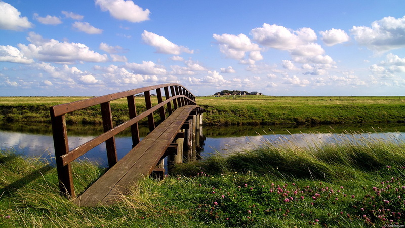 download nature background images 1920x1080, 1080P