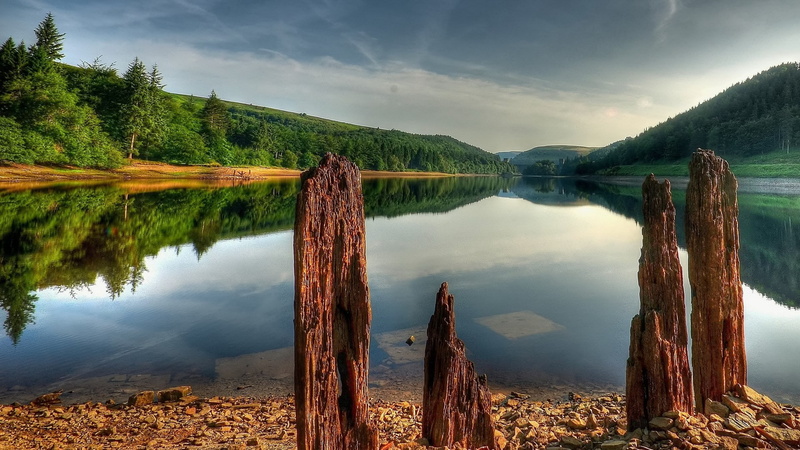sky, beauty in nature, cloud - sky, tranquil scene, reflection, outdoors, lake, non-urban scene, plant, reflection lake, post, tranquility, nature, 1080P