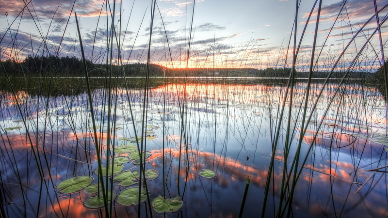 tranquility, tree, grass, download nature background images 1920x1080, idyllic, cloud - sky, outdoors, travel destinations, water, lake, reflection lake