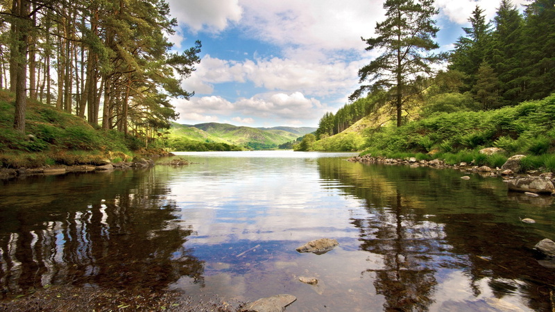 download nature background images 1920x1080, 1080P