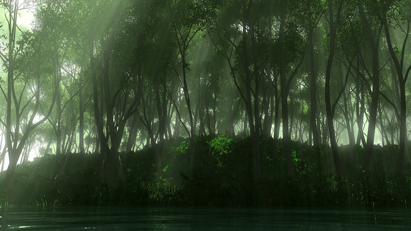 growth, tranquility, lake, woodland, no people, tranquil scene, plant, idyllic, land, scenics - nature, non-urban scene, day, tree, nature, download nature background images 1920x1080