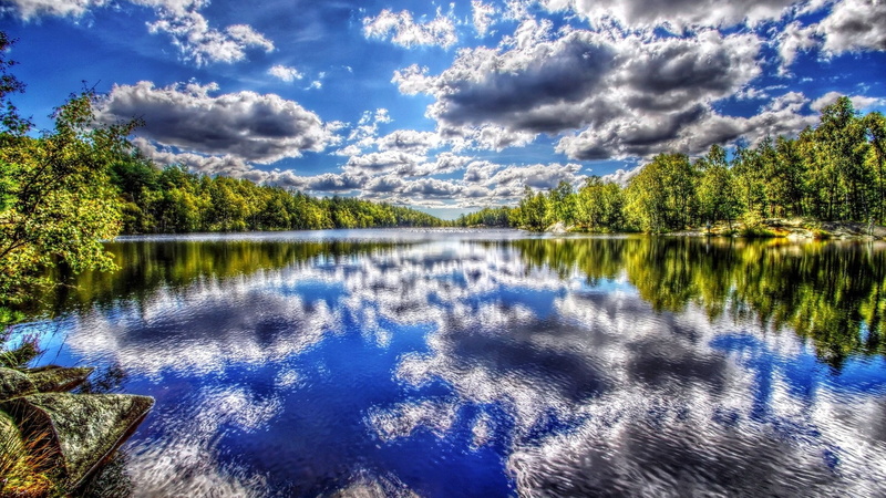 coniferous tree, tree, beauty in nature, non-urban scene, waterfront, forest, tranquility, download nature background images 1920x1080, sky, outdoors, 1080P