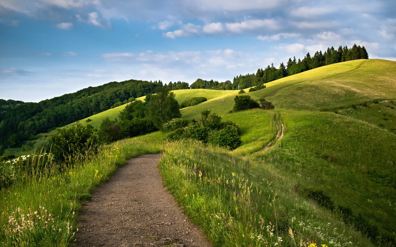 tranquility, outdoors, landscape, field, nature, direction, plant, idyllic, trail, growth, sky, green color, tranquil scene, land, grass, hd high resolution nature 1920x1200