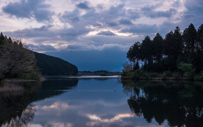 tranquility, non-urban scene, tree, 1080P, sunset, cloud - sky, beauty in nature, growth, sky, tranquil scene, scenics - nature, plant, nature, reflection lake