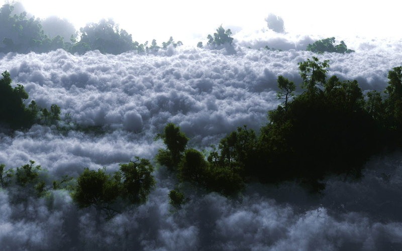 widescreen high resolution nature hd images 1920x1200, 1080P, tranquil scene, plant, outdoors, cloud - sky, tranquility, day, high angle view, tree, environment