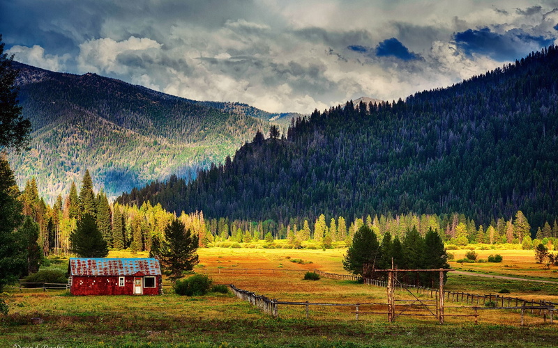 nature, mountain, cloud - sky, forest, idyllic, outdoors, tree, 1080P, environment, landscape, field, mountain range, beauty in nature, no people, hd high resolution nature 1920x1200