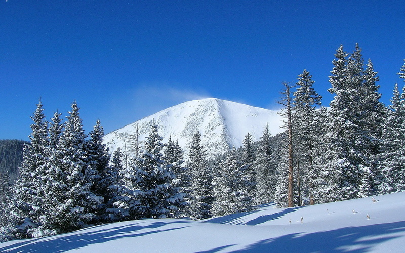 extreme weather, no people, pine tree, tranquil scene, clear sky, tree, non-urban scene, scenics - nature, outdoors, snowcapped mountain, day, snow, 1080P