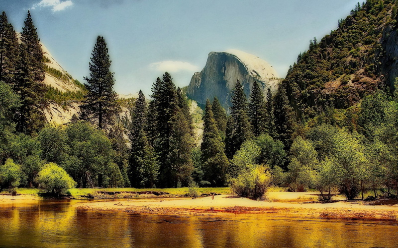1080P, beauty in nature, flowing water, tree, tranquility, growth, tranquil scene, outdoors, day, plant, sky, mountain, scenics - nature, land, no people