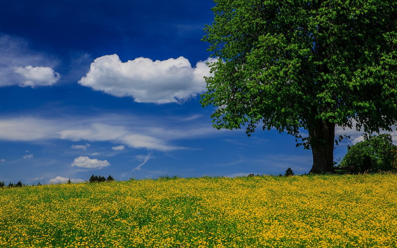 widescreen high resolution nature hd images 1920x1200, 1080P