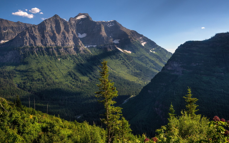 plant, nature, non-urban scene, coniferous tree, outdoors, tranquility, tree, tranquil scene, beauty in nature, sky, mountain, landscape, growth, remote
