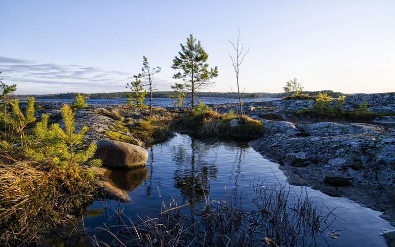 1080P, widescreen high resolution nature hd images 1920x1200, plant, tree, water, day, outdoors, grass, clear sky, tranquility, nature, lake, land, tranquil scene