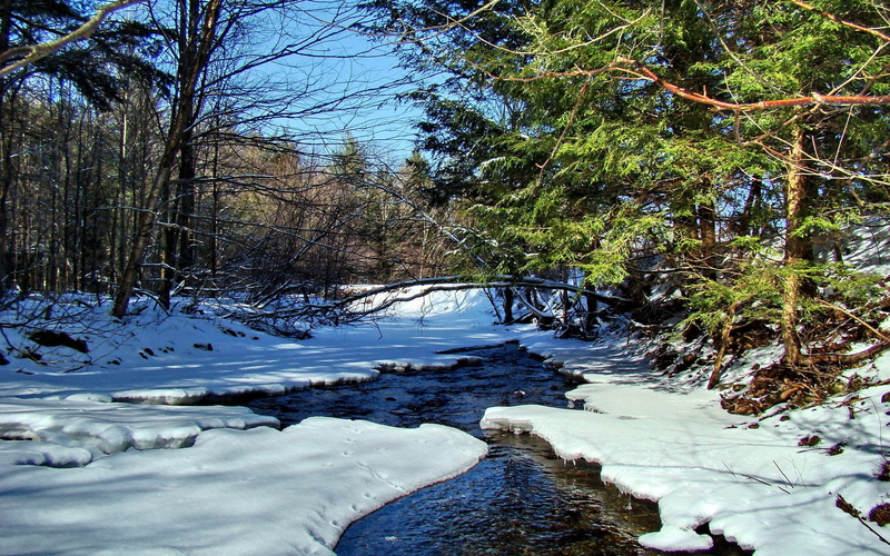 1080P, widescreen high resolution nature hd images 1920x1200