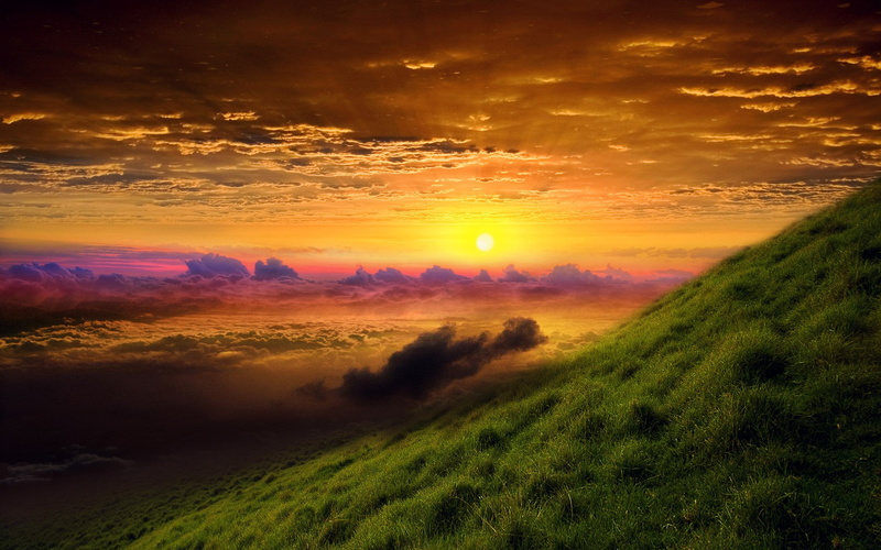 sunbeam, beauty in nature, plant, sunlight, environment, dramatic sky, scenics - nature, sky, nature, orange color, idyllic, no people, cloudscape, tranquil scene