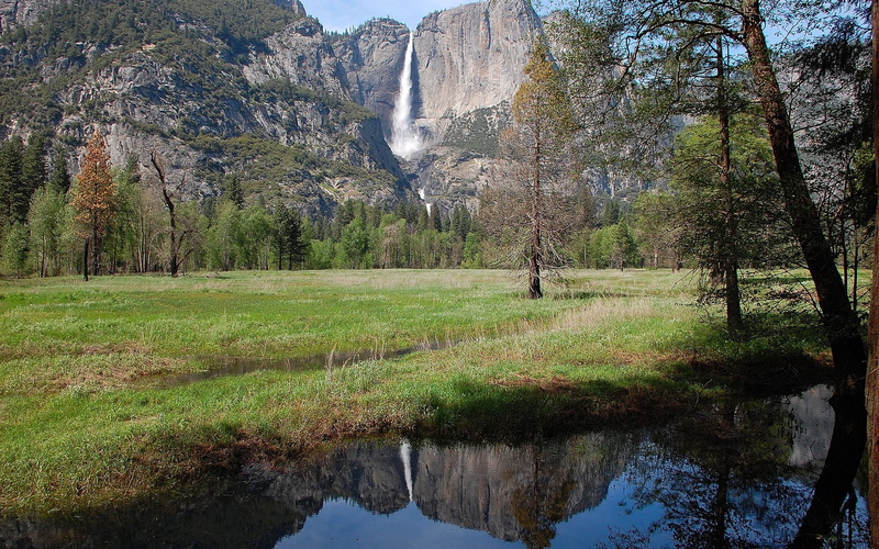 tranquility, forest, environment, land, reflection, non-urban scene, flowing water, nature, 1080P, day, grass, scenics - nature, outdoors, plant, tree