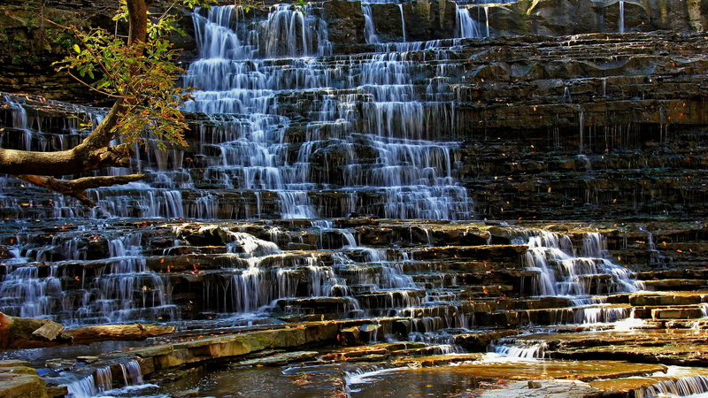 water, long exposure, scenics - nature, day, no people, flowing, forest, solid, stream - flowing water, flowing water, plant, icicle, motion, beauty in nature