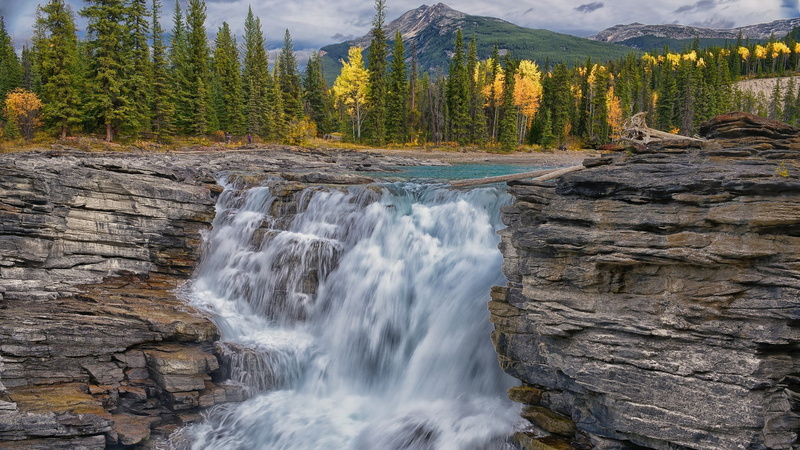 non-urban scene, water, rock, plant, waterfall, flowing, rock formation, forest, nature, tree, 1080P, motion, land, beauty in nature, power in nature