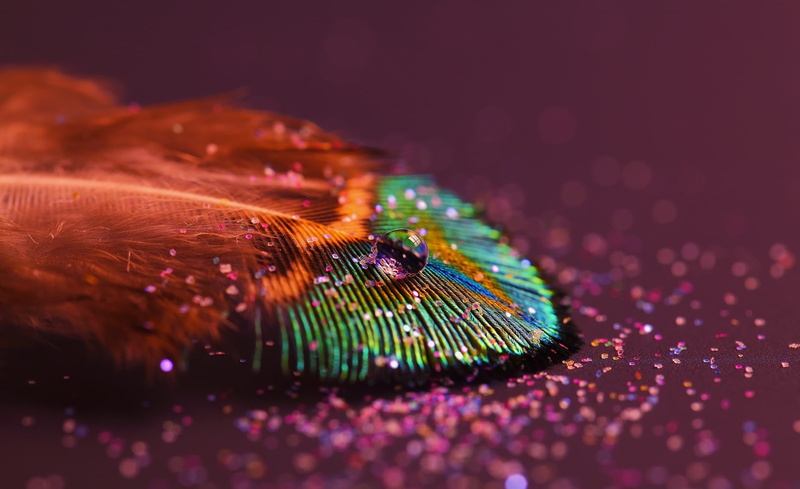featherlight, fiber optic, electronics industry, green, motion, black background, selective focus, featherlight_nithinsuren, blue, feather, close-up, illuminated