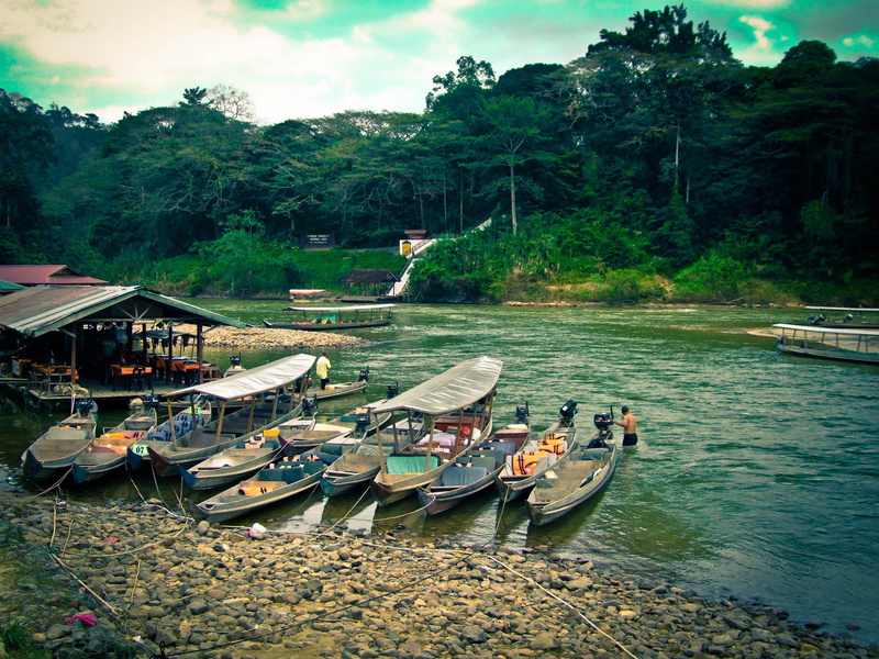 climb, park, walkway, adventure, pahang, malaysia, rain, taman, tranquility, outdoors, Taman, nautical vessel, color, plant, asia, tranquil scene, environment