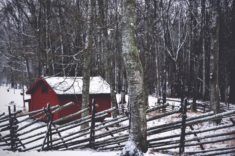 covering, woodland, outdoors, day, no people, plant, cold temperature, braches, nature, beauty in nature, snow, tree, winter, trees, architecture, built structure