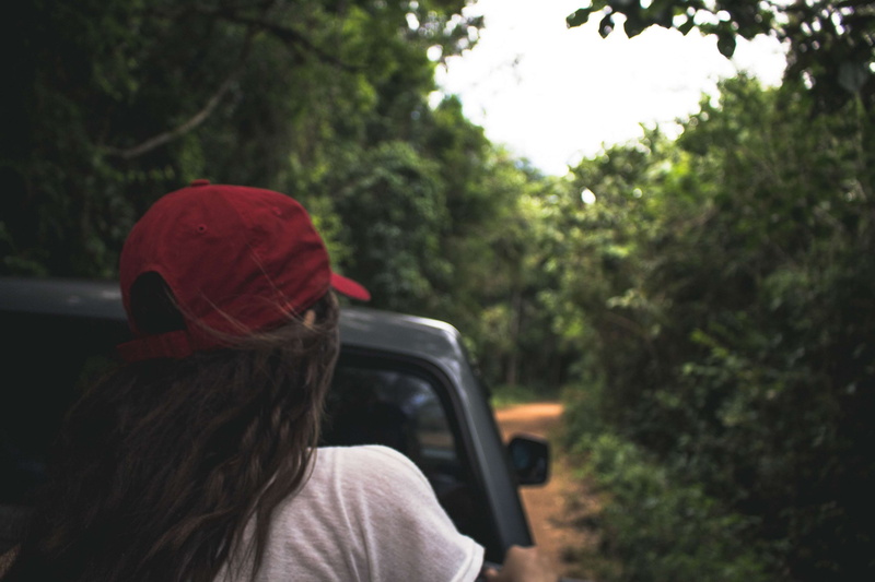 tree, nature, hair, one person, hairstyle, search, headshot, trail, mode of transportation, transportation, red, safari, way, hat, girl, outdoors, adult
