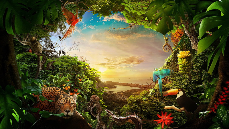 coast, jungle, forest, sea, snake, landscape, frogs, 1080P, the city, parrots, birds, trees, animals, Toucan, greens, leopard