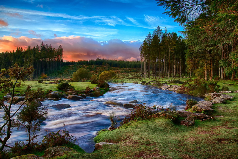 beauty in nature, morning, tranquility, stream - flowing water, nature, South West England, river, flowing water, tree, 1080P, tranquil scene, sky, solid