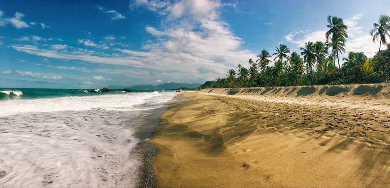 5K, plant, sea, land, tree, wave, summer, ocean, tropical, beach, sky, tropical tree, beauty in nature, no people, caribbean, tropical climate, palm tree