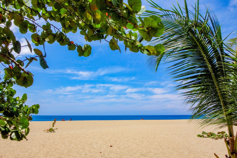 ocean, tranquility, palm tree, maldives, horizon over water, horizon, Caribbean, travel, 4K, Sea, tree, scenics - nature, stones, island, land, tropical climate