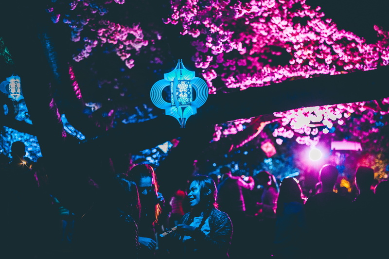 emotion, lighting equipment, men, illuminated, enjoyment, large group of people, popular music concert, adult, women, 5K, celebration, togetherness, cherry blossoms