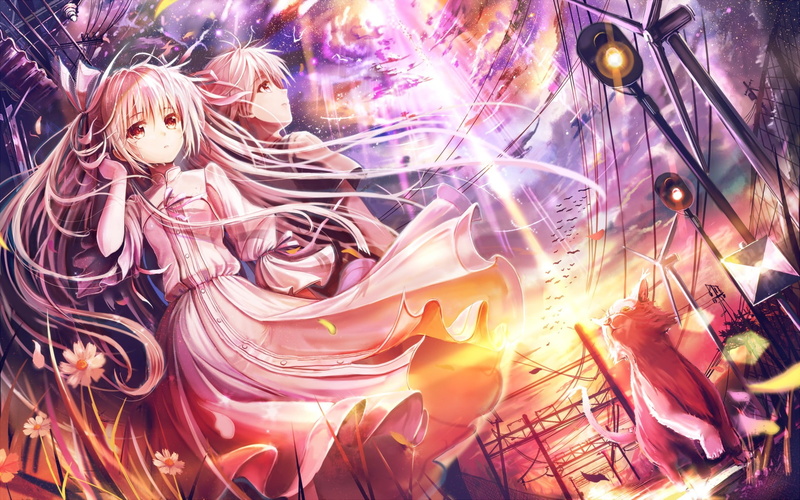 1080P, girl, anime, kasugano, anime girls, haired, yosuga, boy, yosuga no sora, kasugano haruka, girls, cat, sora, white, haruka