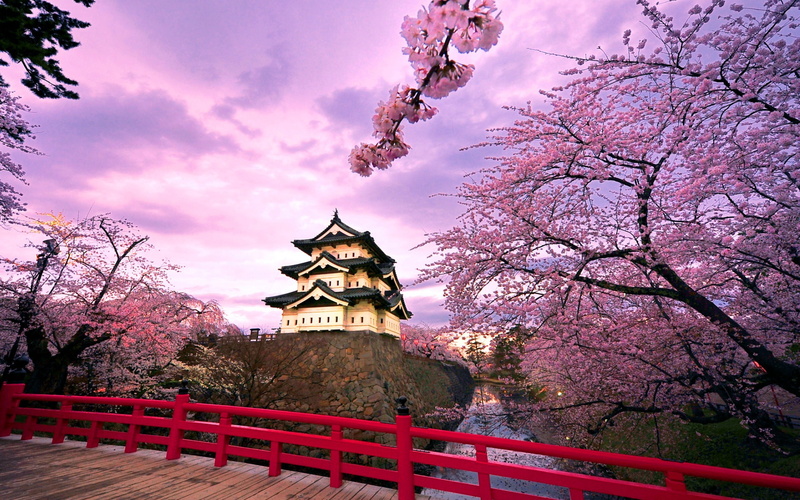 hd, mutsu, aomori, built, japan, 1080P, cherries, blooming, hirosaki, province, desktop, hirayama, castle