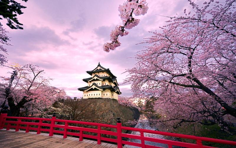 Spring, Cherry Blossom, 1080P, Hirosaki Castle, Castles