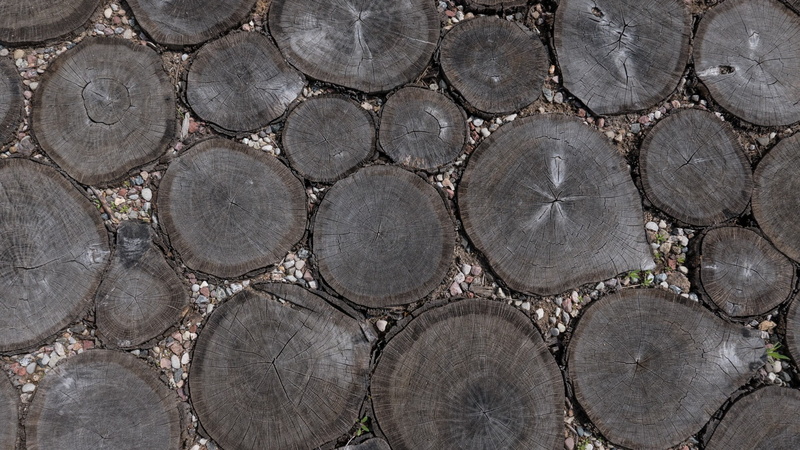 pathway, wooden surface, ground, wood, pebbles, 1080P, oak