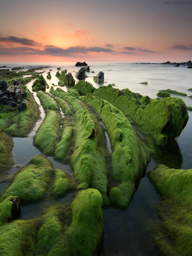 barrika, euskadi, nature, flysch, gray rocks, body of water, sunset, shoreline, green, gray, rocks, seascape, 720P, sea, water, shore, outdoors, beside