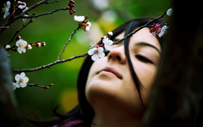 twigs, 1080P, flowers, white flowers, women
