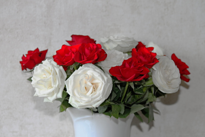 noble, beauty in nature, flower, freshness, red roses, love, no people, congratulations, white, bunch of flowers, festive, rosacea, vulnerability, red