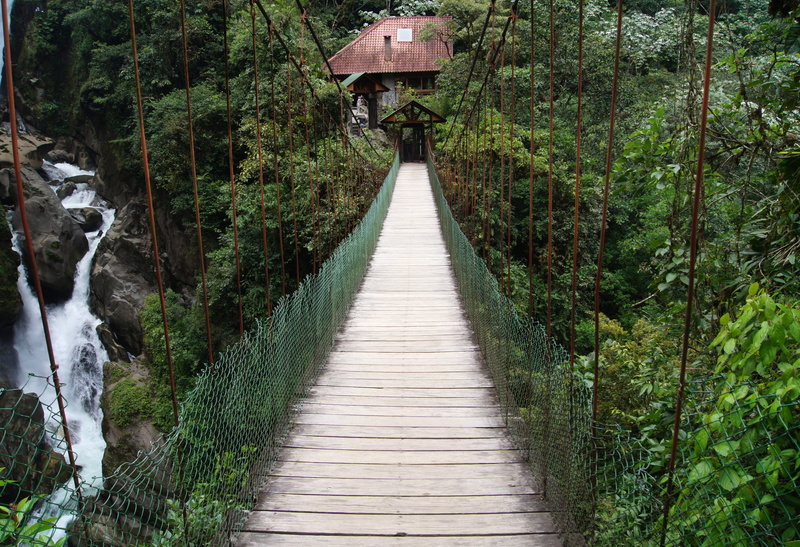 footpath, banos, growth, nature, ecuador, connection, diminishing perspective, direction, trees, beauty in nature, outdoors, bridge - man made structure