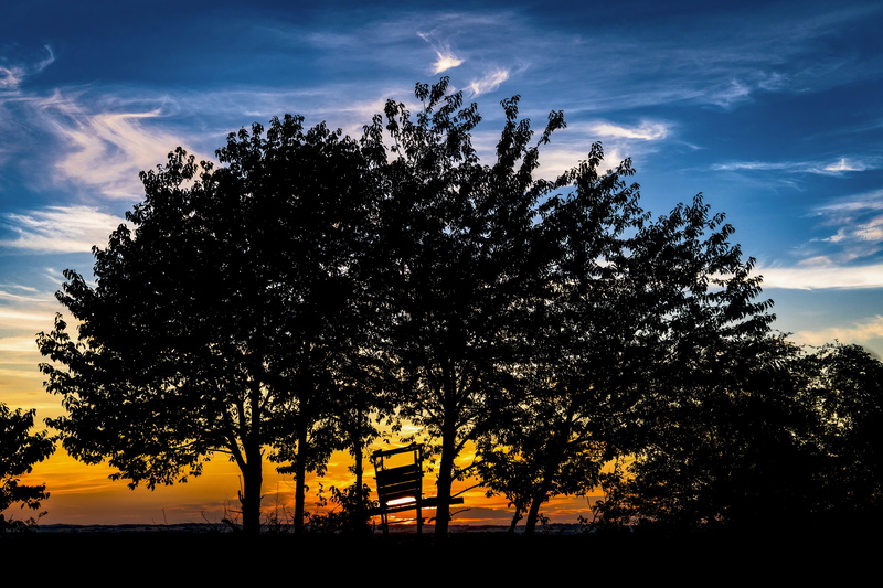trees, hunt, nature, no people, abendstimmung, field, blue, scenics - nature, yellow, tranquil scene, cloud - sky, Treehouse, growth, hunting, overview